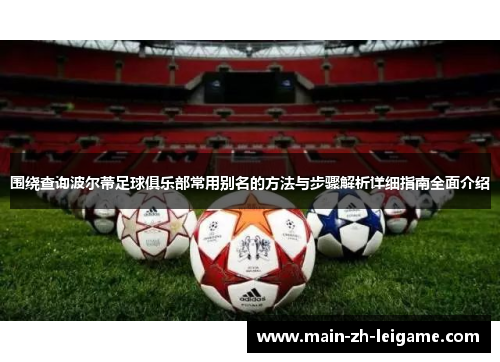 围绕查询波尔蒂足球俱乐部常用别名的方法与步骤解析详细指南全面介绍