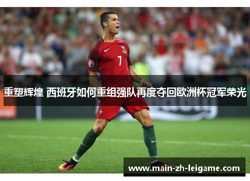 重塑辉煌 西班牙如何重组强队再度夺回欧洲杯冠军荣光 重塑辉煌 西班牙如何重组强队再度夺回欧洲杯冠军荣光