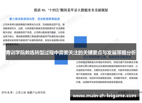 青训学院教练转型过程中需要关注的关键要点与发展策略分析 青训学院教练转型过程中需要关注的关键要点与发展策略分析