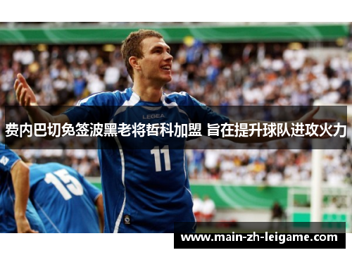 费内巴切免签波黑老将哲科加盟 旨在提升球队进攻火力 费内巴切免签波黑老将哲科加盟 旨在提升球队进攻火力